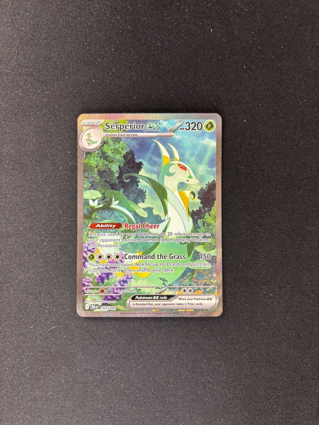 Serperior ex – Black Bolt – Special Illustration Rare – #164/086 – NM