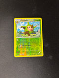 Quilladin – XY Base Set – Reverse Holo – #13 – LP
