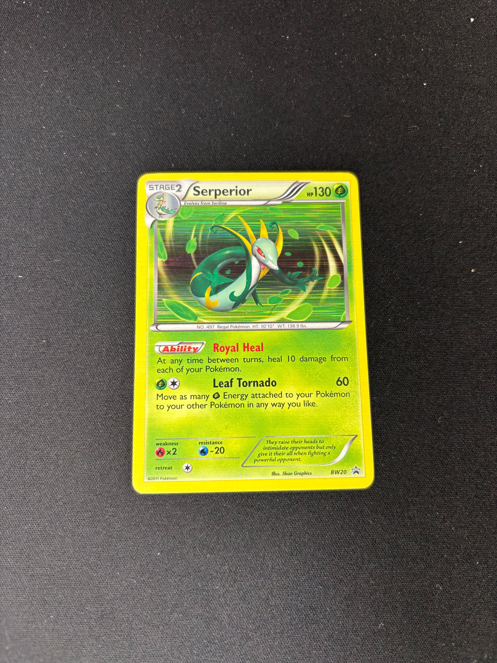 Serperior – Black and White Promos – #BW20 – MP