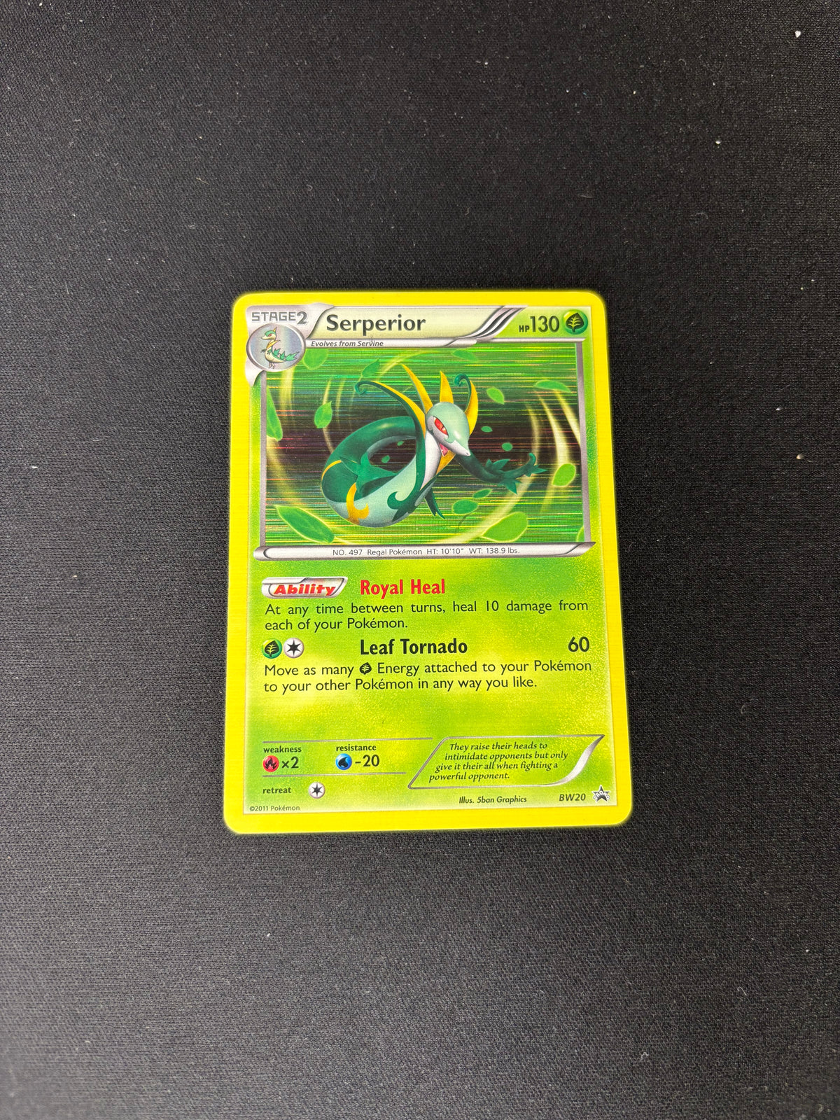 Serperior – Black and White Promos – #BW20 – MP