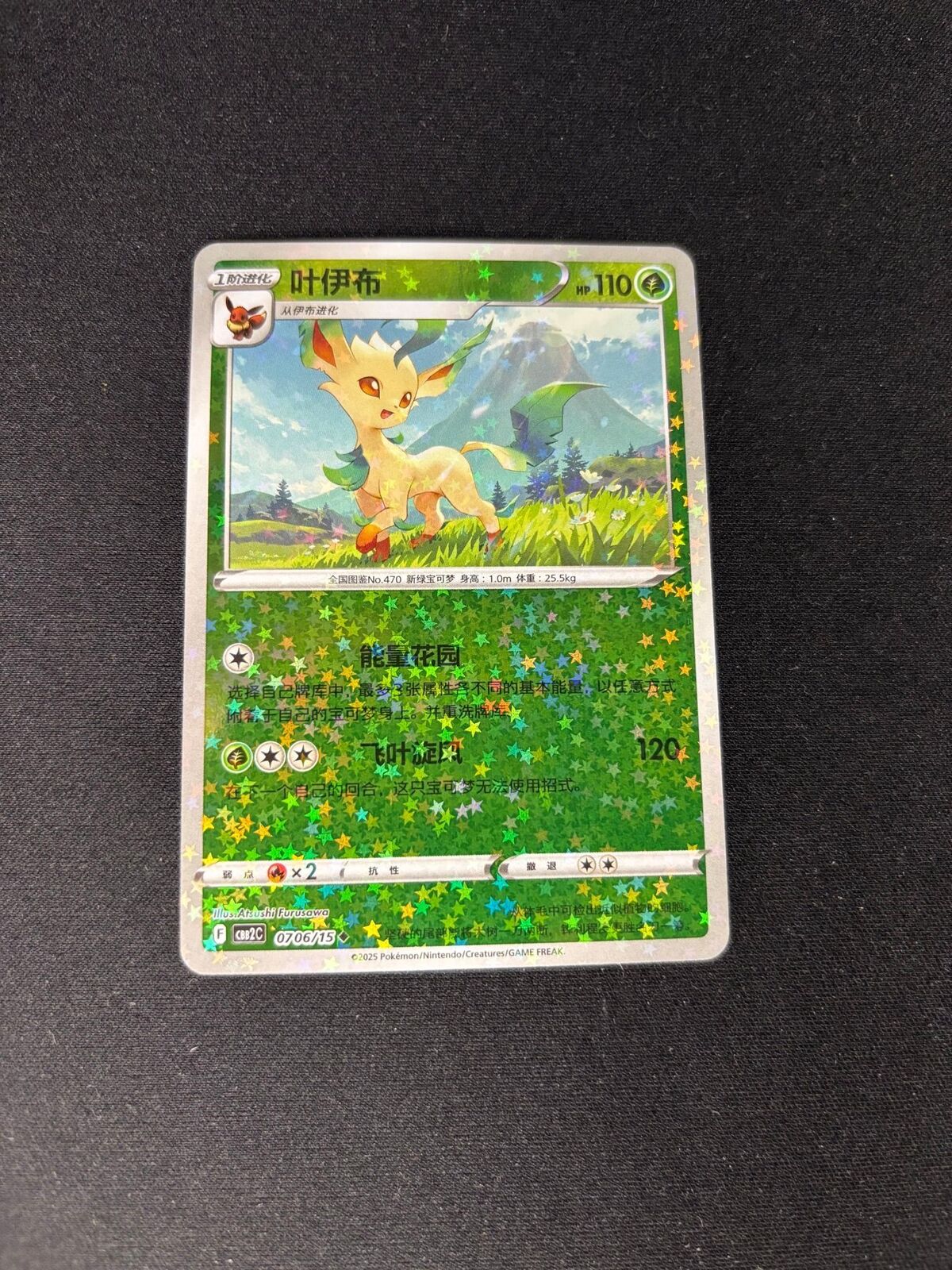Leafeon – Gem Pack 2 – Chinese – Stars Pattern – #0706/15 – NM