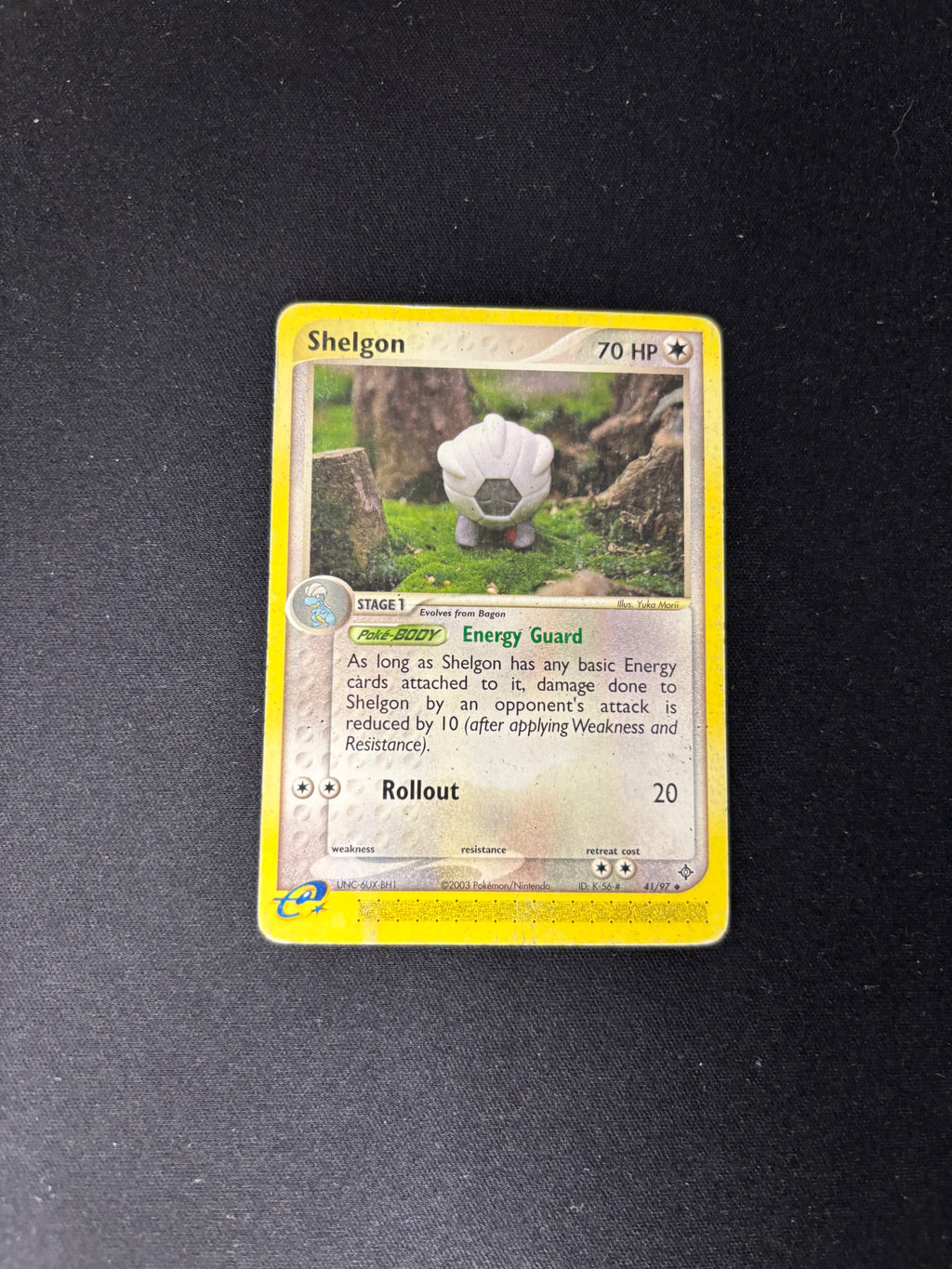 Shelgon – EX Dragon – #41 – DMG