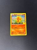 Torchic – McDonald's 25th Anniversary Promos – #11/25 – NM