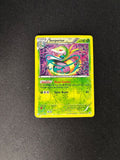 Serperior – Legendary Treasures: Radiant Collections – #RC3/RC25 – HP