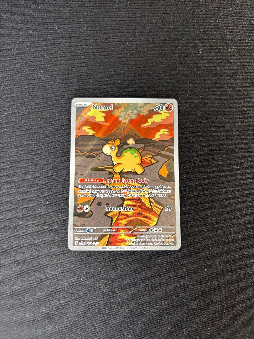 Numel – Ascended Heroes – Illustration Rare – #223/217 – NM