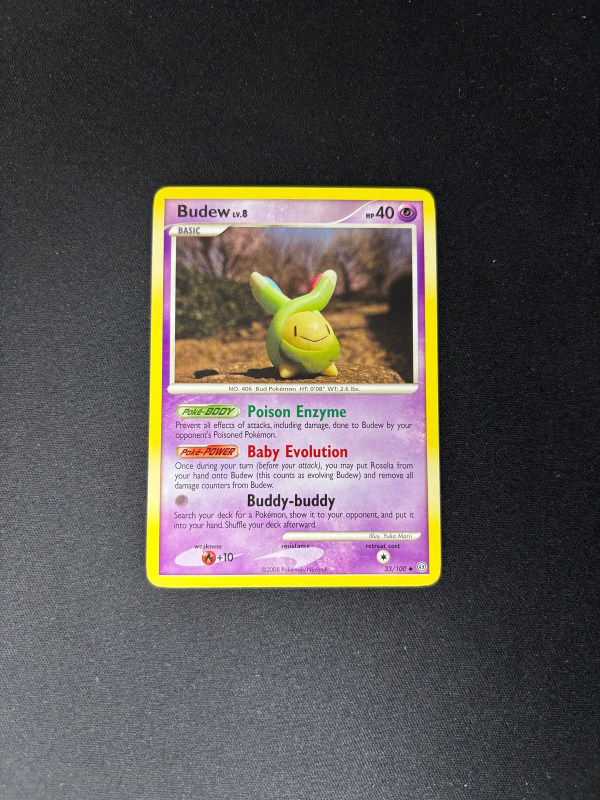 Budew – Stormfront – #33 – NM