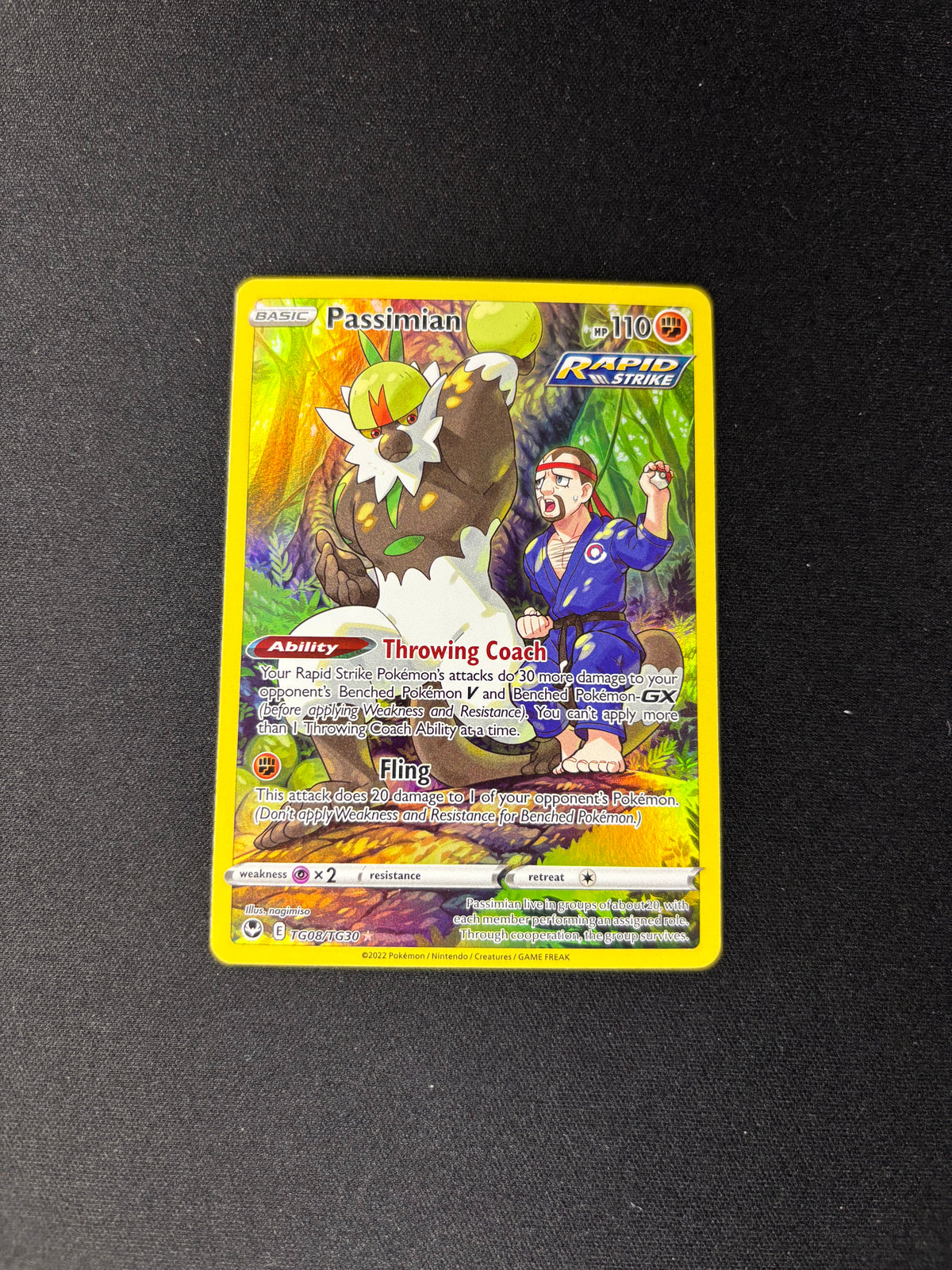 Passimian – Silver Tempest Trainer Gallery – #TG08/TG30 – NM