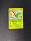 Snivy – Legendary Treasures: Radiant Collections – #RC1/RC25 – HP