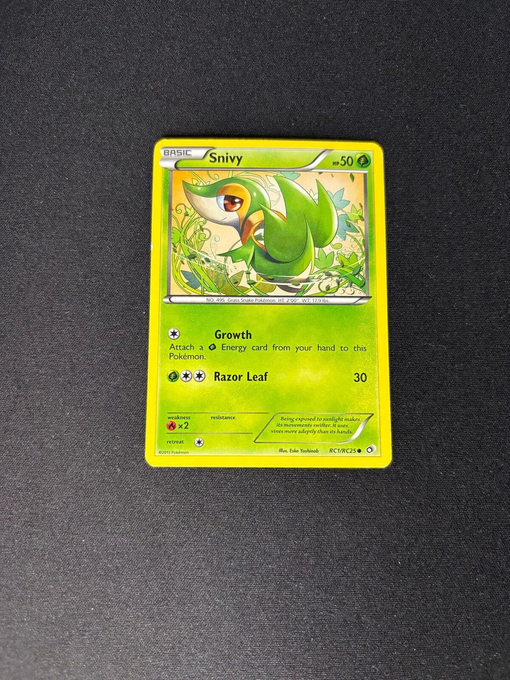Snivy – Legendary Treasures: Radiant Collections – #RC1/RC25 – MP