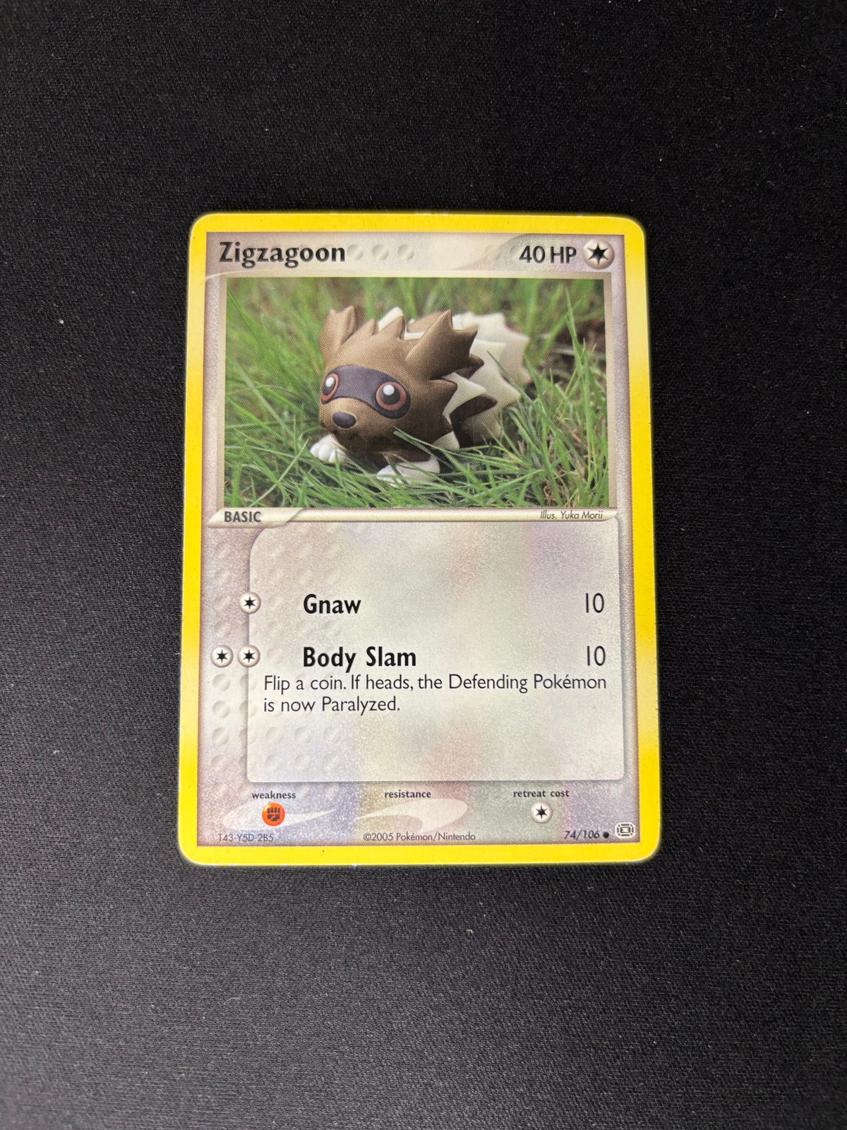 Zigzagoon – EX Emerald – #74 – MP