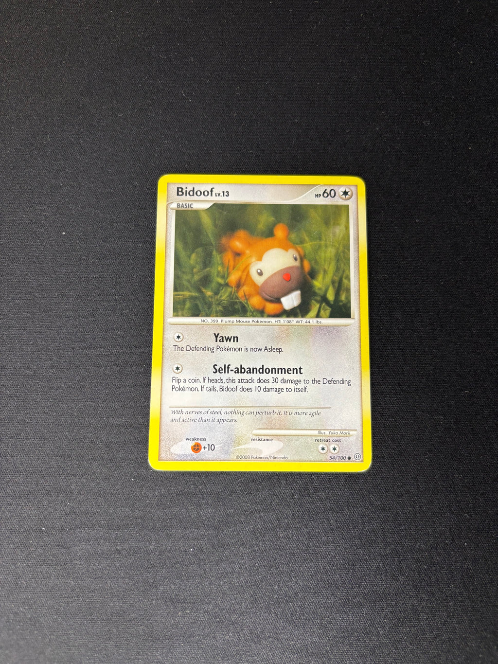 Bidoof – Stormfront – #54 – LP