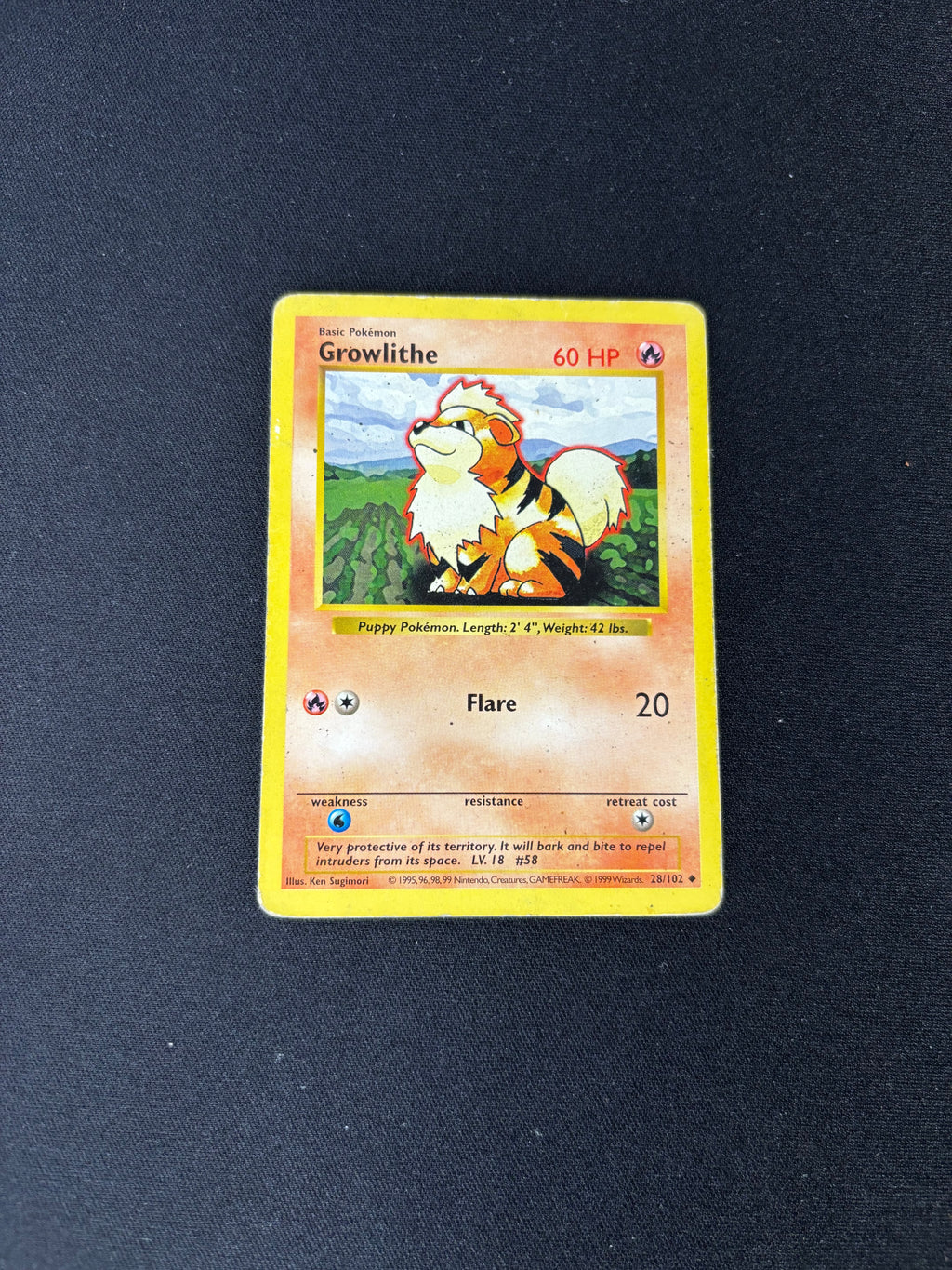 Growlithe – Base Set (1st Edition & Shadowless) – #28 – HP
