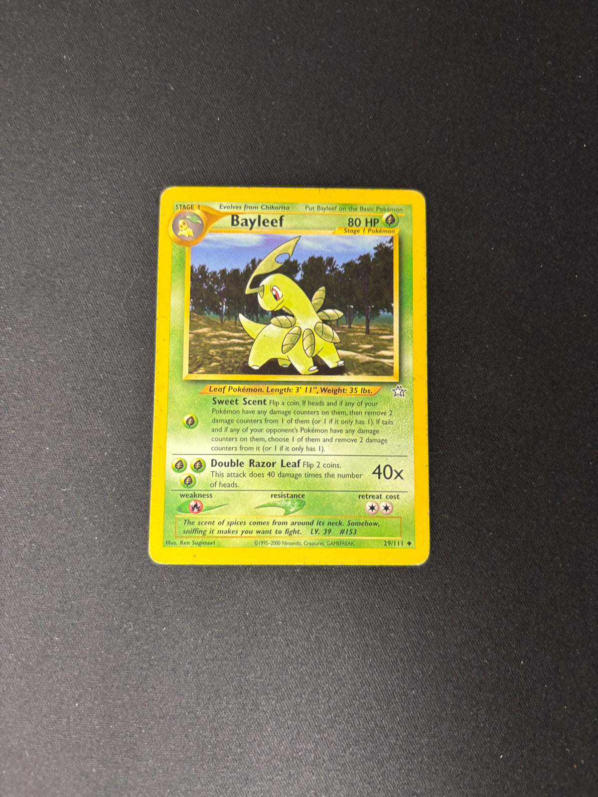Bayleef – Neo Genesis – #29 – HP