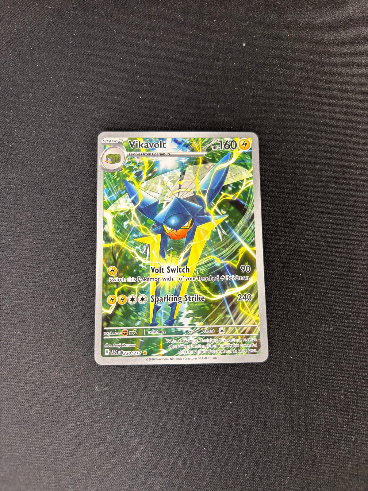 Vikavolt – Ascended Heroes – Illustration Rare – #230/217 – NM