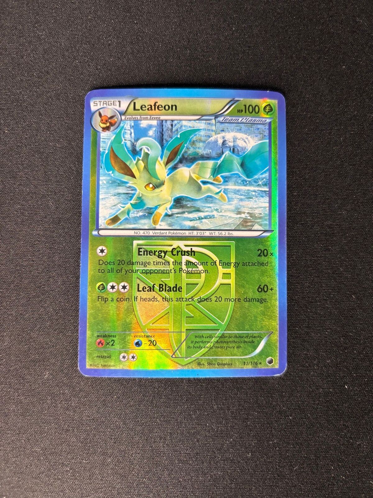 Leafeon – Plasma Freeze – Team Plasma – Reverse Holo – #11/116 – MP