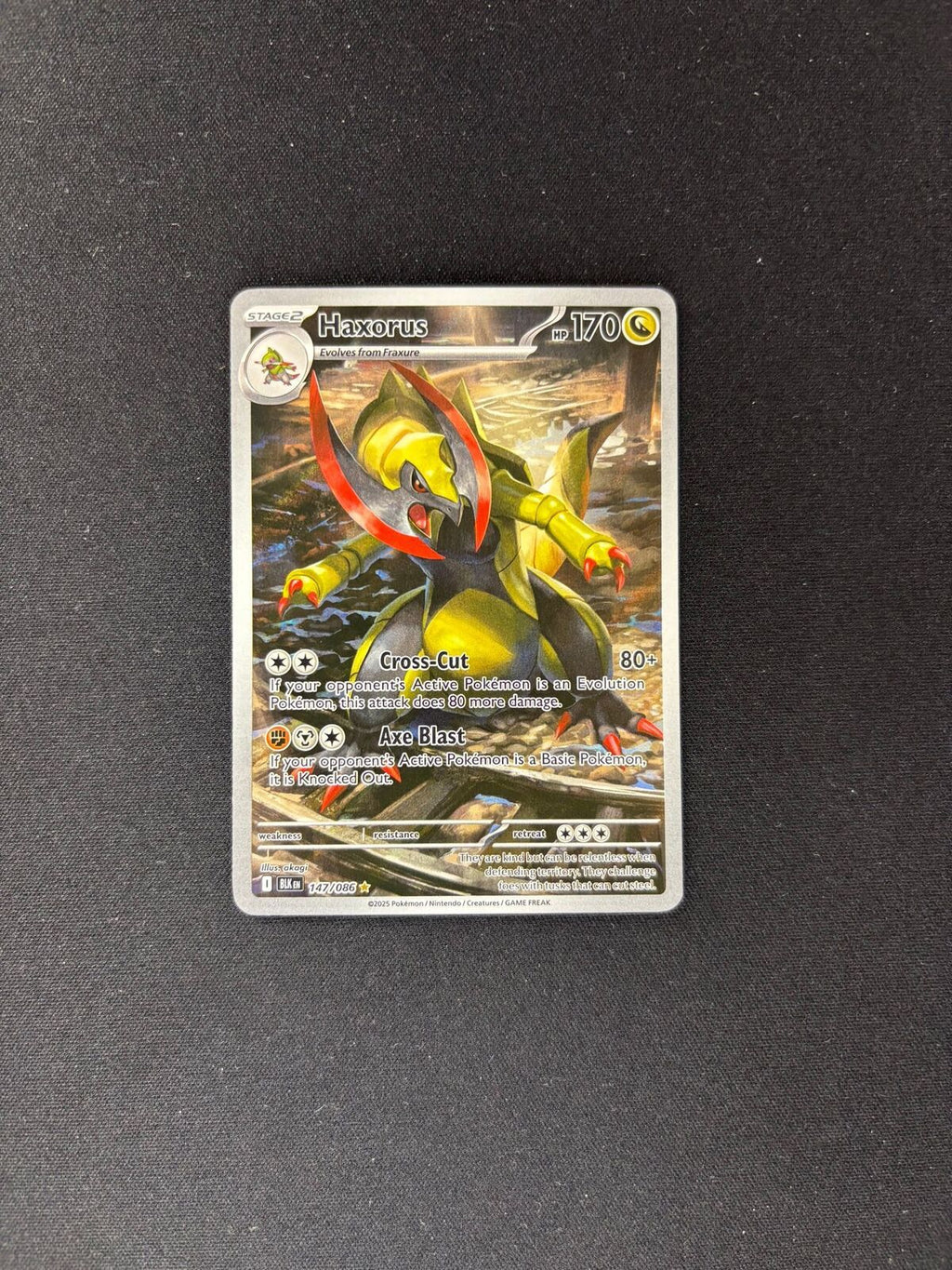 Haxorus – Black Bolt – Illustration Rare – #147/086 – NM