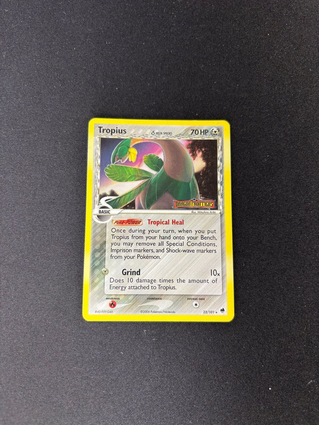 Tropius – EX Dragon Frontiers – Delta Species – Reverse Holo – #23/101 – MP